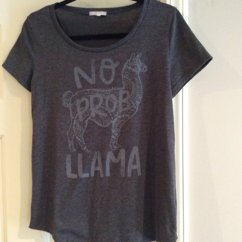 Novelty Llama T Shirt